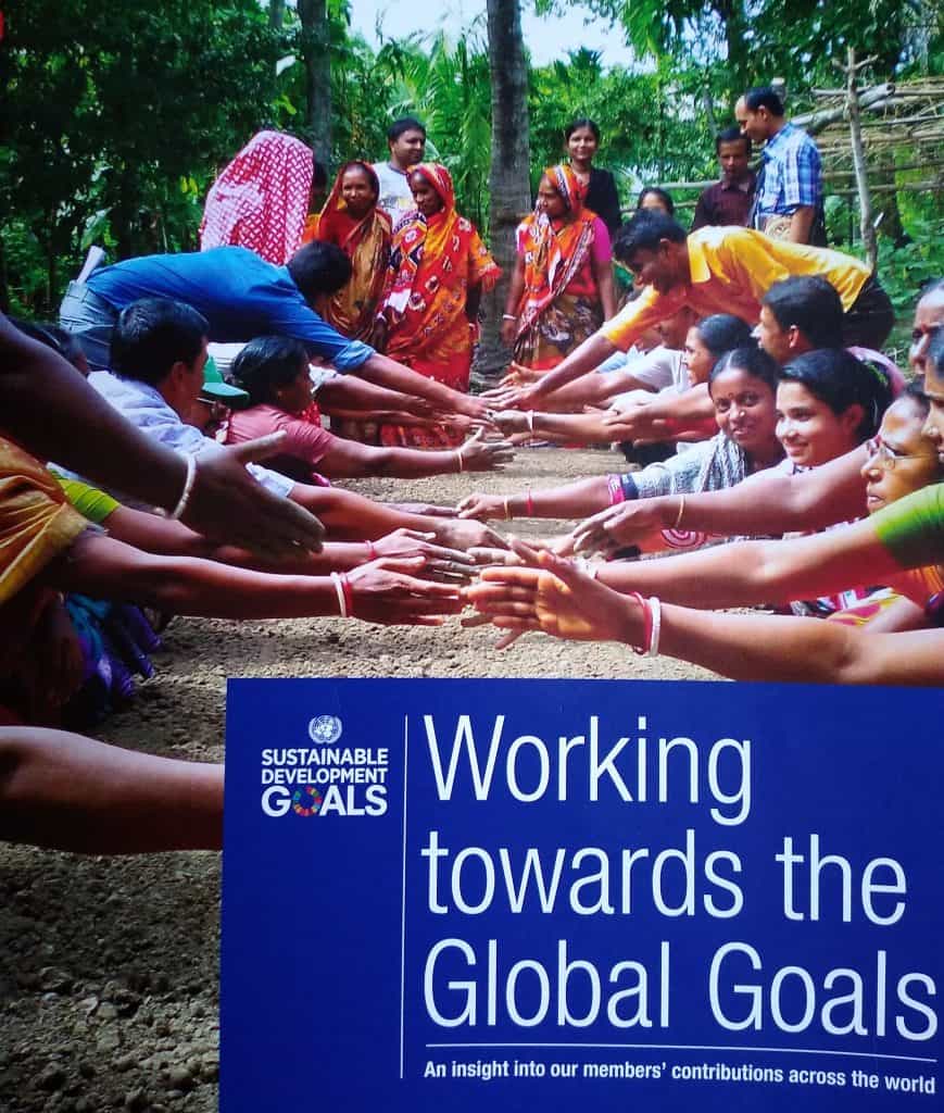 International development goals